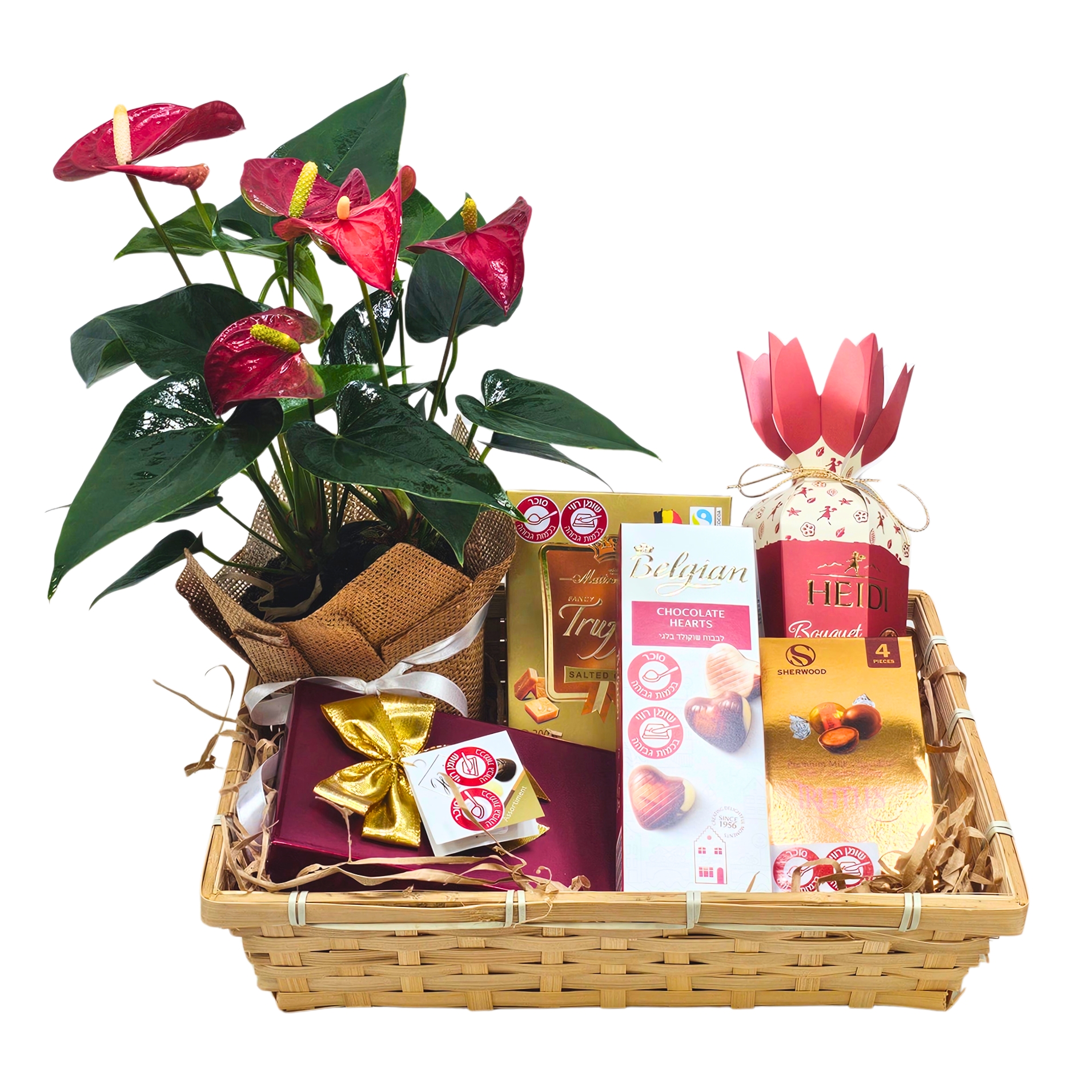 מארז מק”ט 584